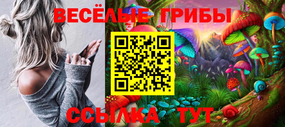 Псилоцибиновые грибы Psilocybine cubensis  Галлюциногенные грибы прущие грибы  Вход с VPN  Ишим 